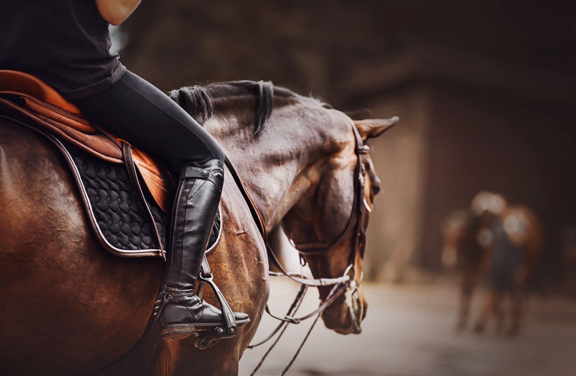 Rider mounted in English tack